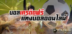 เว็บแทงบอลฟรีเครดิต